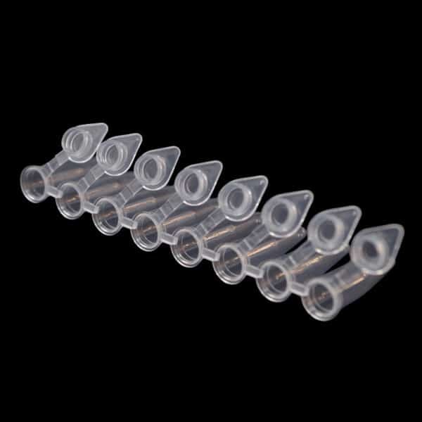 natural 0.2ml 8 strip pcr tube with attached cap